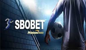 Agen Sbo88 Online Panduan Lengkap untuk Pemain